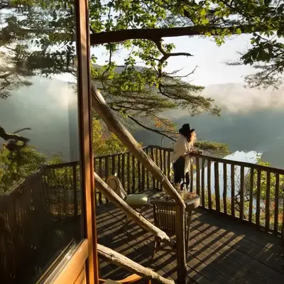 Hêtre sous le Charme