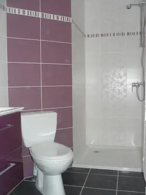 Salle de bains dans l'établissement Petit appartement plein pied 2 pers AVEC TERRAIN proche Aurillac