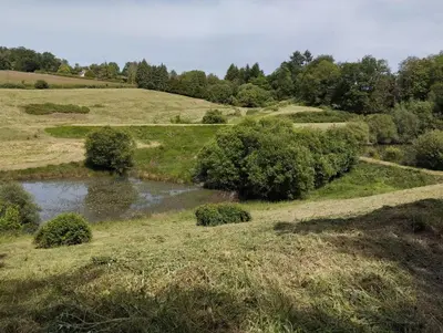 Paysage naturel près de la tente de luxe