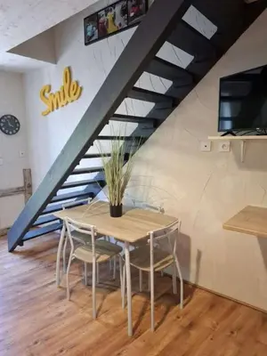Télévision ou salle de divertissement dans l'établissement le nid des choups le petit duplex 2 personnes