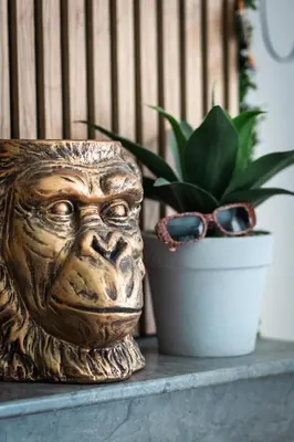 Plan de l'établissement Suite Eden Jungle - Ambiance tropicale cosy