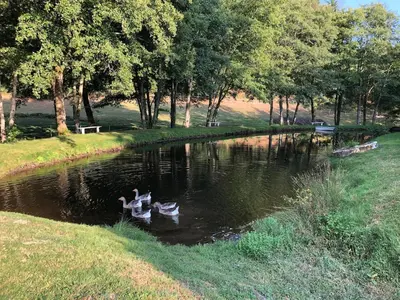 Paysage naturel près de la maison de vacances