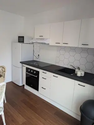 Cuisine ou kitchenette dans l'établissement Casa DANIEL 1