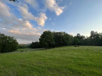 Paysage naturel près de la maison de vacances