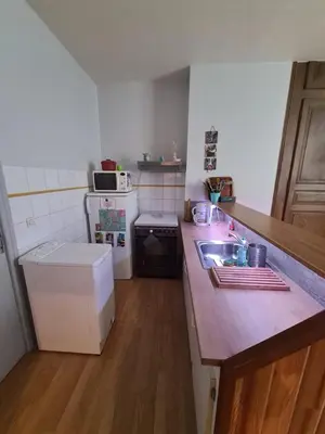 Cuisine ou kitchenette dans l'établissement Appartement RDC centre ville