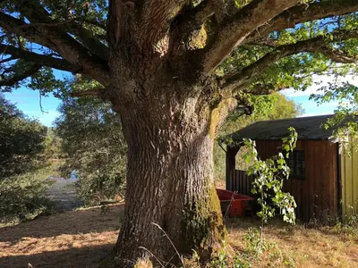 Jardin de l'établissement Le Mont Gapier - Vacances reposantes dans une authentique ferme - I