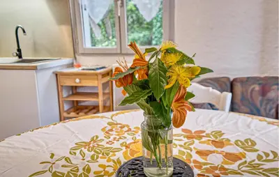 Plan de l'établissement Charmante Maison À La Campagne