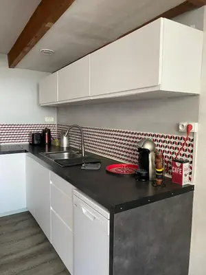 Cuisine ou kitchenette dans l'établissement Appartement Hyper Centre