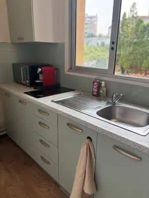 Cuisine ou kitchenette dans l'établissement Downtown Limoges - Secure parking