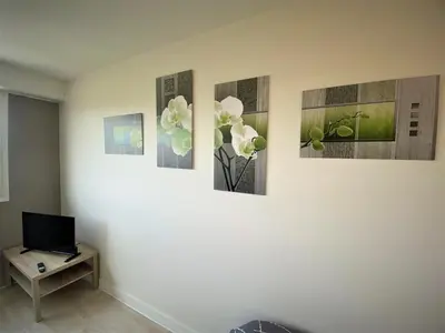 Télévision ou salle de divertissement dans l'établissement Appartement double à Limoges