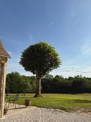 Jardin de l'établissement Gîte Le Clouvillou