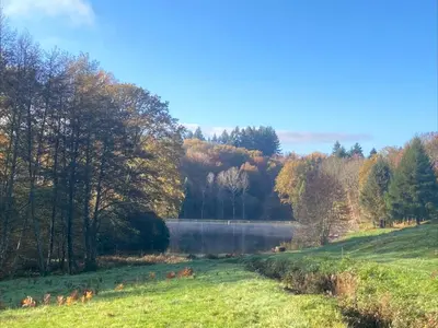 Paysage naturel près de la maison de vacances