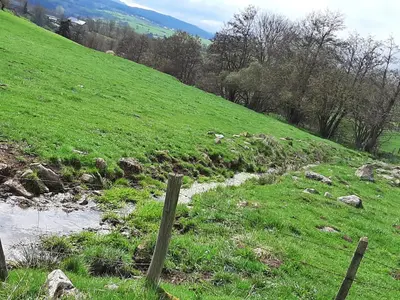 Paysage naturel près de la maison de vacances
