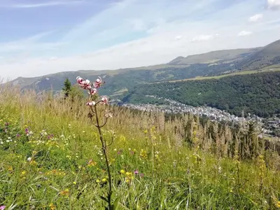 Paysage naturel près de l'appartement