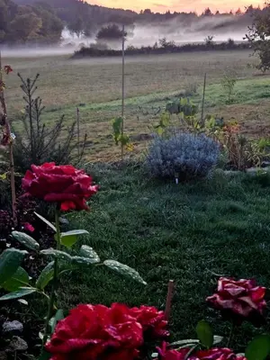 Paysage naturel près de le B&B/chambre d'hôtes
