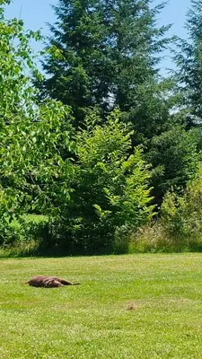 Jardin de l'établissement Le Mas Bellanger