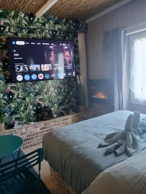 Télévision ou salle de divertissement dans l'établissement Le doux refuge