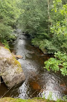 Paysage naturel près de la maison de vacances
