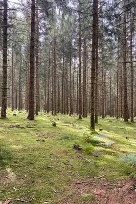 Paysage naturel près de la maison de vacances