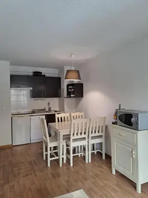Cuisine ou kitchenette dans l'établissement La Merlerie Super-Besse agréable appartement 5p grand balcon parking privé