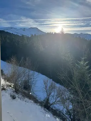 Paysage naturel près de l'appartement