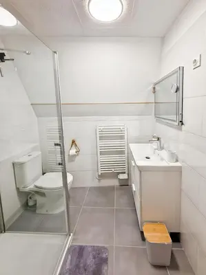 Salle de bains dans l'établissement Appartement rénové, lumineux au centre de Vic