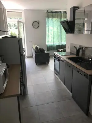 Cuisine ou kitchenette dans l'établissement appt 8 pers tout confort 4