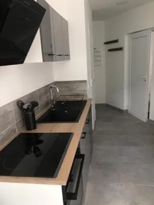 Cuisine ou kitchenette dans l'établissement appt 8 pers tout confort 4