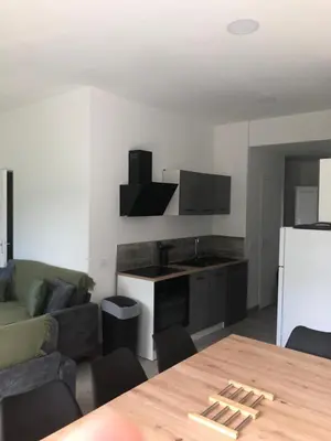 Cuisine ou kitchenette dans l'établissement appt 8 pers tout confort 4