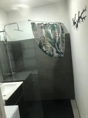 Salle de bains dans l'établissement appt 8 pers tout confort 4