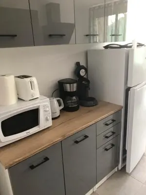 Cuisine ou kitchenette dans l'établissement appt 8 pers tout confort 4