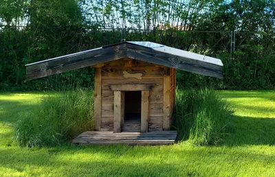 Jardin de l'établissement Le Domaine d'Evolène