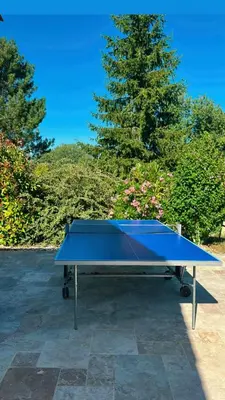 Tennis de table au sein de l'établissement Villa Gournerie 3 bedrooms private heated pool ou à proximité