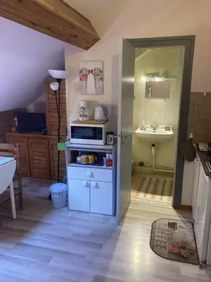 Cuisine ou kitchenette dans l'établissement Studio CENTRE Mont Dore, Volière des Pics 2pers15m2 parking Gratuit chemin randonnée
