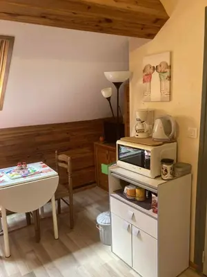Cuisine ou kitchenette dans l'établissement Studio CENTRE Mont Dore, Volière des Pics 2pers15m2 parking Gratuit chemin randonnée