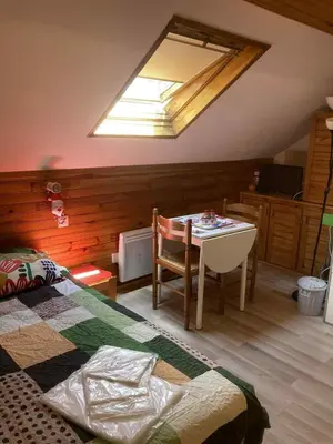 Un ou plusieurs lits dans un hébergement de l'établissement Studio CENTRE Mont Dore, Volière des Pics 2pers15m2 parking Gratuit chemin randonnée