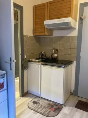 Cuisine ou kitchenette dans l'établissement Studio CENTRE Mont Dore, Volière des Pics 2pers15m2 parking Gratuit chemin randonnée