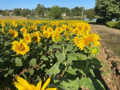 Jardin de l'établissement Barracat Gite