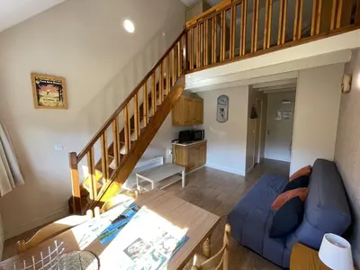Télévision ou salle de divertissement dans l'établissement Charmant Duplex pour 5 pers., Wi-Fi & Parking au Lioran - FR-1-787-108