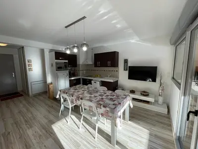 Télévision ou salle de divertissement dans l'établissement Bel appartement T3 avec balcon sud et wifi, proche pistes - FR-1-787-130