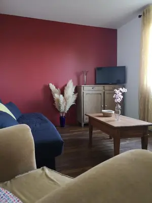 Télévision ou salle de divertissement dans l'établissement Chez Nanou
