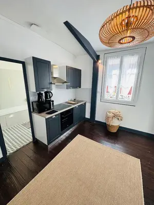 Cuisine ou kitchenette dans l'établissement Le Pent House Limoges
