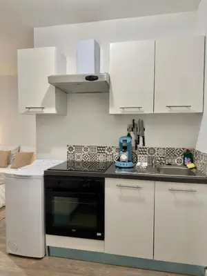 Cuisine ou kitchenette dans l'établissement Studio 4 lumineux Av Garibaldi - DABNB