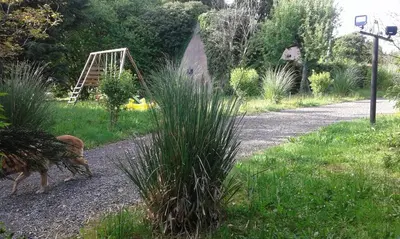 Jardin de l'établissement TIPI d'ANAÏS