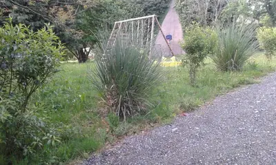 Jardin de l'établissement TIPI d'ANAÏS