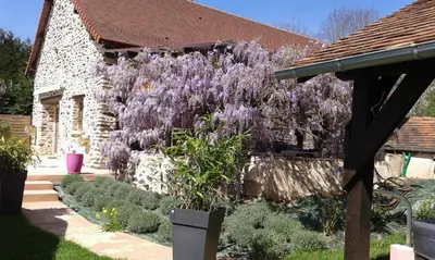Jardin de l'établissement GITE de THOMAS