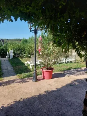 Jardin de l'établissement GITE de THOMAS