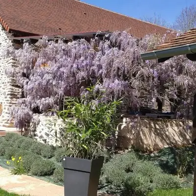 GITE de THOMAS