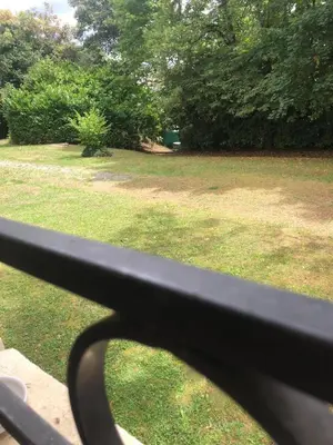 Jardin de l'établissement Le rée de Baudin