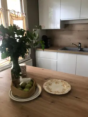 Cuisine ou kitchenette dans l'établissement Le rée de Baudin